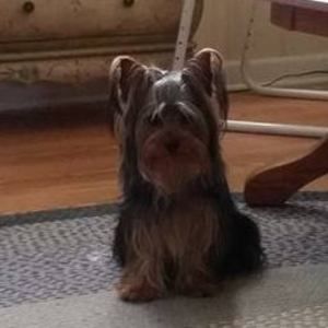 Meet your Posher, Cindy